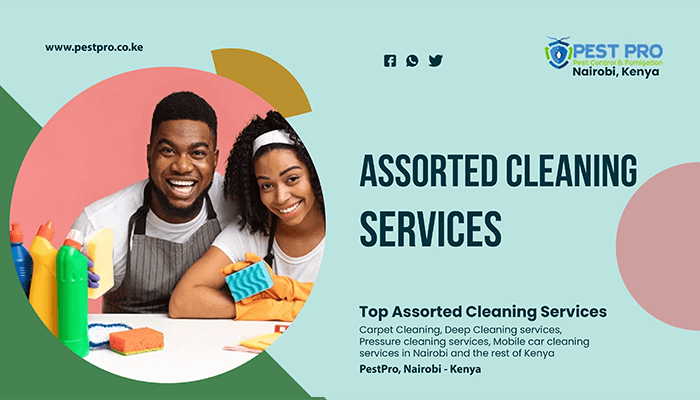 commercial cleaning services nairobi kenya schools hospitals church offices home house domestic sanitization cleaning company