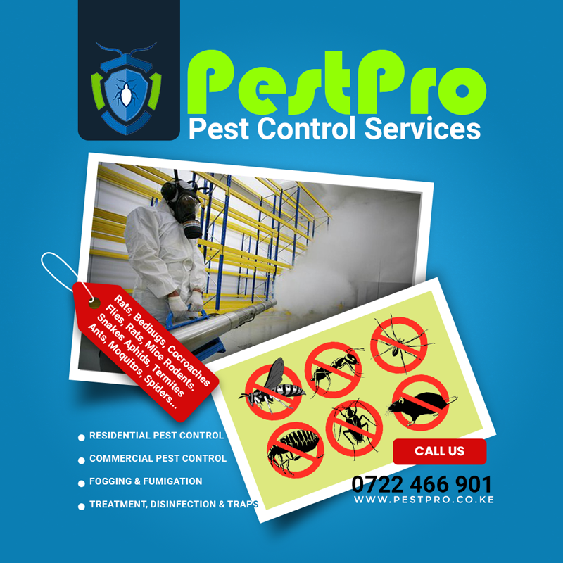 Pest Control Services Nairobi Kenya