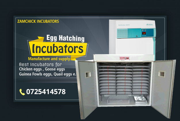 Manual -V- Automatic Egg Incubator