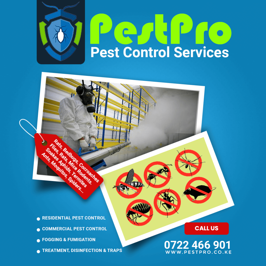 How to Choose Your Seattle Pest Control Company