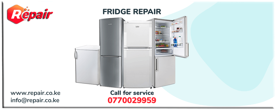 Fridge Repair